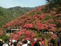android_upload_pic-木兰云雾山