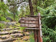 -阳台山自然风景区