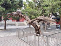 -大钟寺古钟博物馆