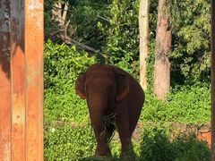 -海南热带野生动植物园