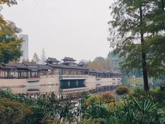 -重庆彩云湖湿地公园