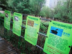 -长白岛森林公园