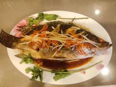 -大班家政月嫂育儿嫂(总部店)