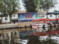 -白洋淀景区