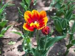 -长春公园(普阳街道)