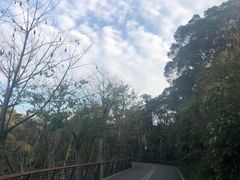 -福道