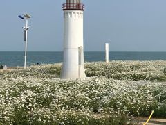 -巧克力渔家.小船海鲜家常菜(万平口店)