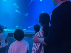 -福州罗源湾海洋世界旅游区