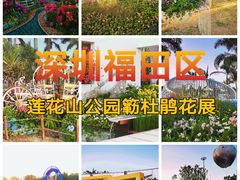-莲花山公园