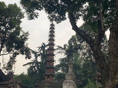 -邓记新一代糖油果子(四川煤管局供销公司职工宿舍店)