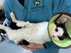 -动物缘宠物医院·骨科·猫科(西二环店)