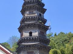 -赭山公园