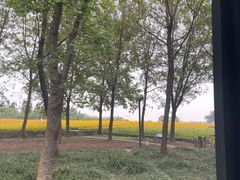 -江苏三台山国家森林公园