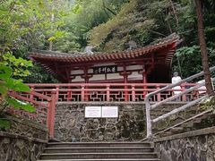 -鼎湖山风景区