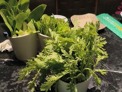 -江小渔鲜鱼火锅(西二道街店)