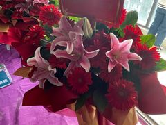 -红蚂蚁装饰泰州分公司