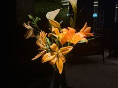 -曲水兰亭(北京四惠店)