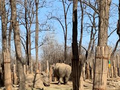 -北京野生动物园