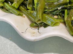 -东门老磨坊羊汤馆(兰山新东关店)