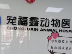 -宠福鑫动物医院(城北分院)