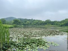 -南山风景名胜区