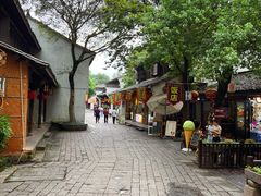 -西溪国家湿地公园