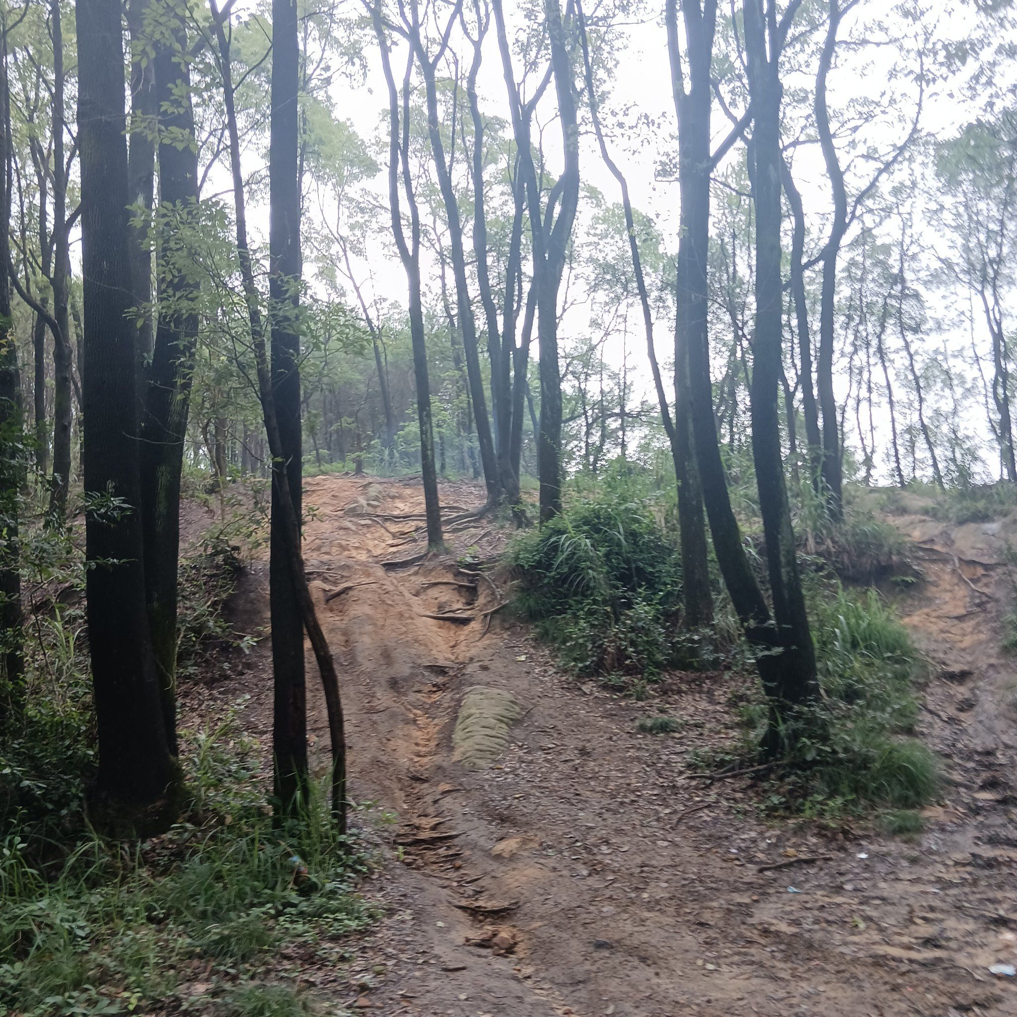 曲折山路