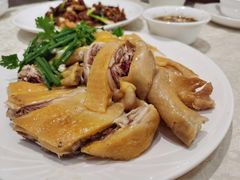 湛江鸡-巫记鸡饭店