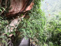 -赤水丹霞旅游区·佛光岩