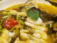 -紫光园·烤鸭(吕家营店)