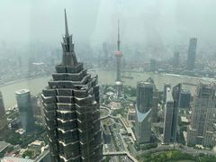 -上海柏悦酒店·世纪100牛排馆