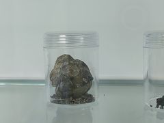 -上海市东方医院(总院)