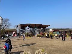 -上海长兴岛郊野公园