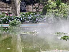 -静安公园(静安寺街道)