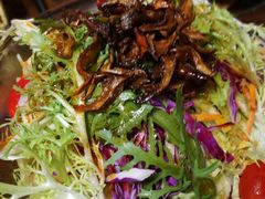 -老滇山寨•云南特色菜•地方菜•民族风情歌舞表演(金碧店)