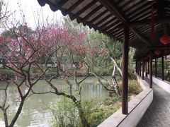 -上海醉白池公园