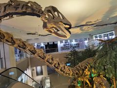 -甘肃地质博物馆