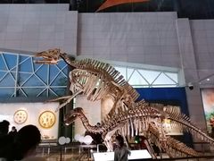 -湖南省地质博物馆