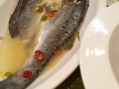 -扬州狮子楼·非遗淮扬菜(总店)