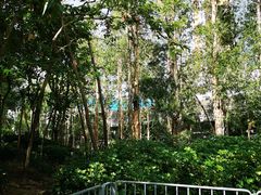 -屯门公园
