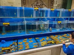 -东来顺饭庄(王府井步行街店)