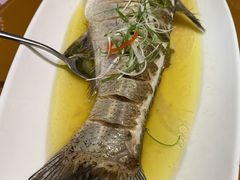 -香浙汇(望京店)