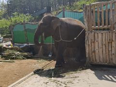 -大连森林动物园