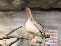 -Zoolung Zoolung动物主题公园(海信广场店)