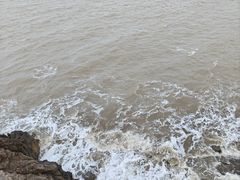 -三中高皇羊肉馆