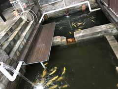 门面-Local泰莲庭(虹鳟鱼店)