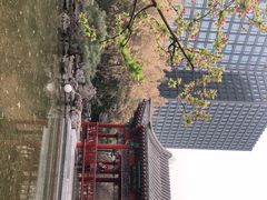 -月坛公园
