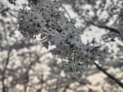 -龙美术馆(西岸馆)