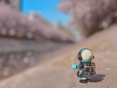 -望京西(地铁站)