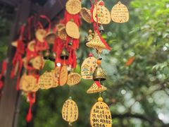 -黔灵山公园